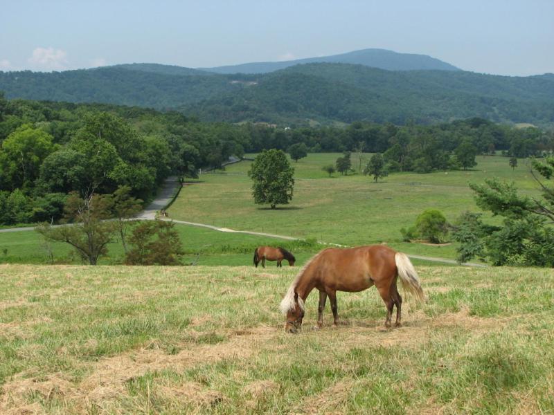 Fairhill Farm Country Vacation Rentals Stanardsville Exteriér fotografie